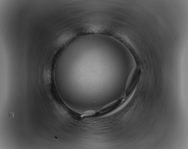 X0000088380640200705221054