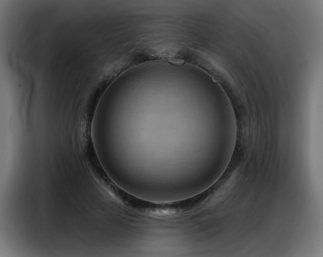 X0000088380641200705221054