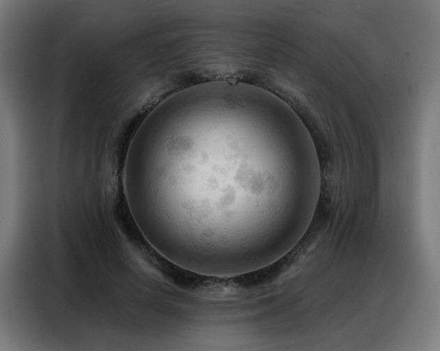 X0000088380642200705221054