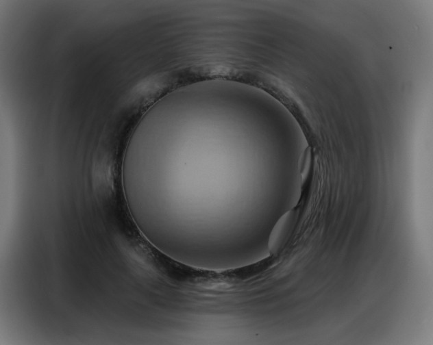 X0000088380643200705221054