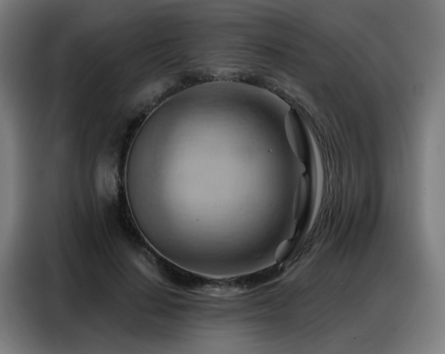 X0000088380644200705221054