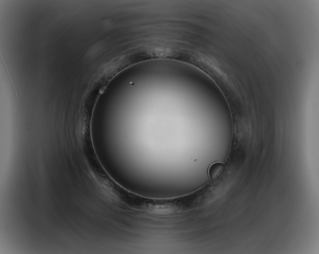 X0000088380645200705221054