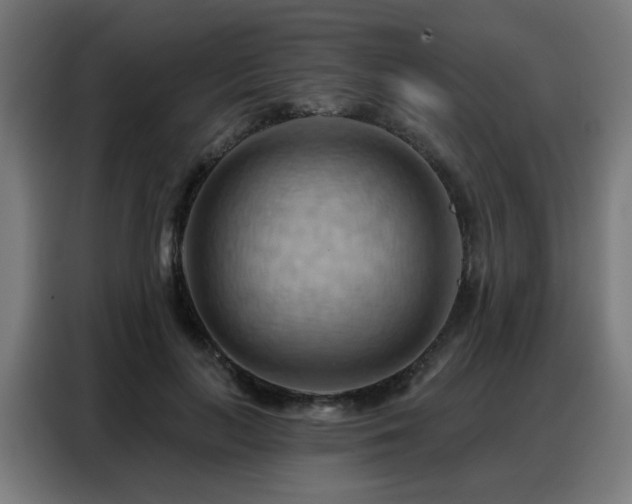 X0000088380647200705221054