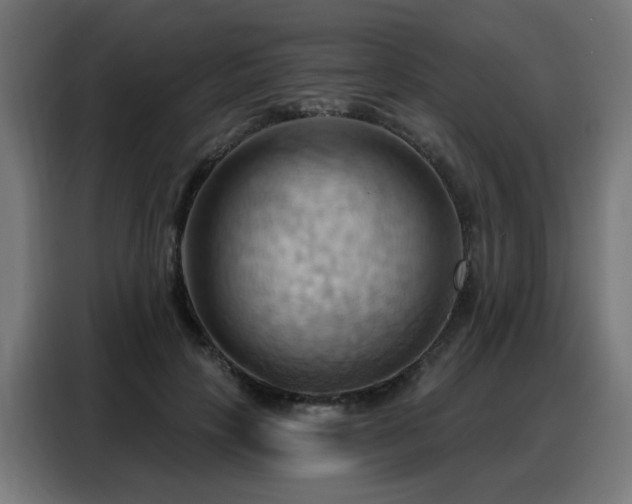 X0000088380649200705221054