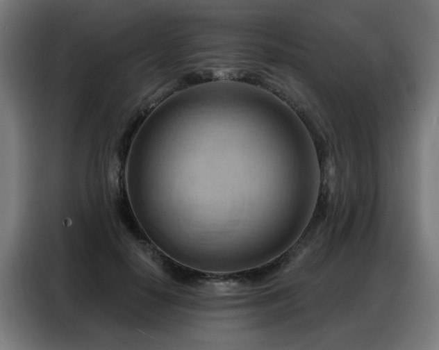 X0000088380650200705221054