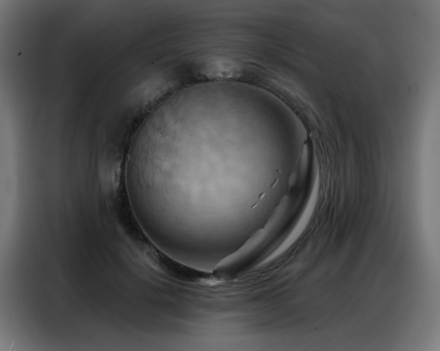 X0000088380652200705221054
