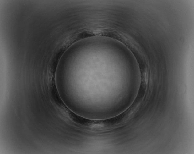 X0000088380653200705221054