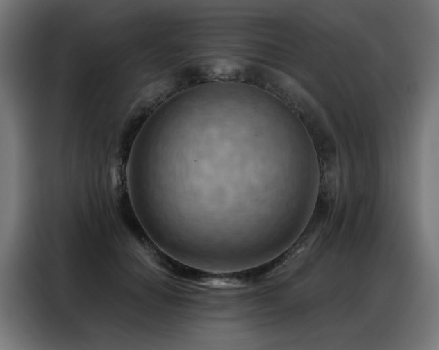 X0000088380654200705221054