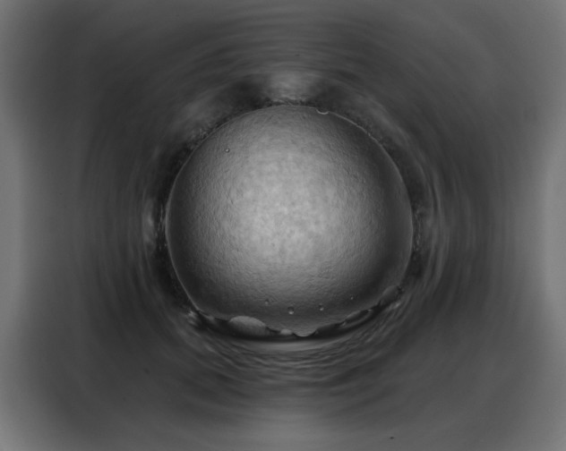 X0000088380655200705221054