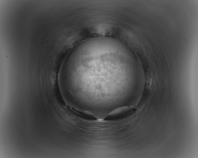 X0000088380656200705221054