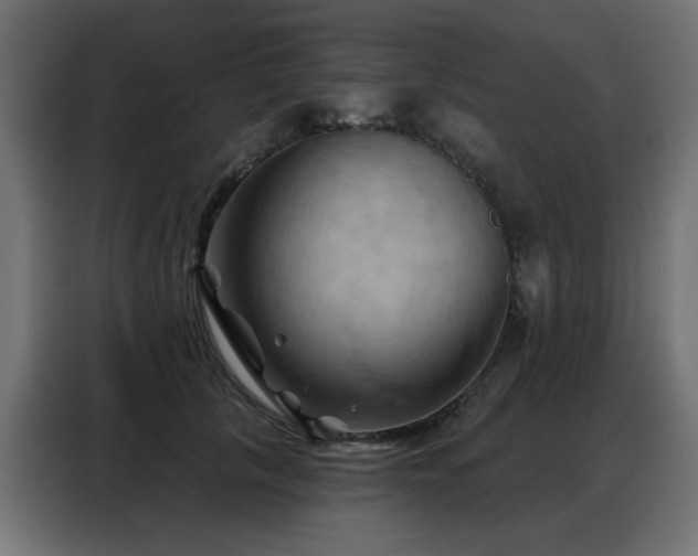 X0000088380657200705221054