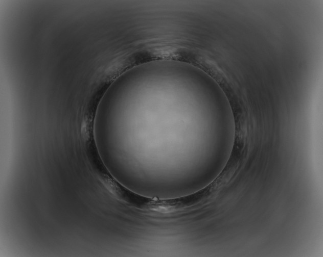 X0000088380658200705221054