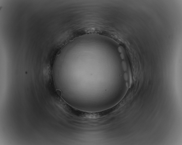 X0000088380659200705221054