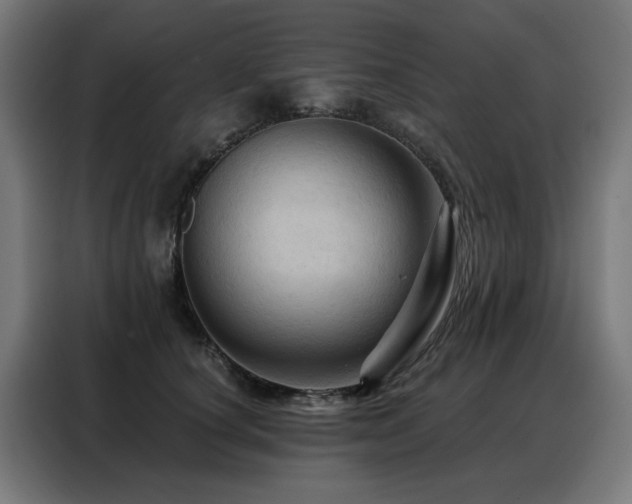 X0000088380660200705221054