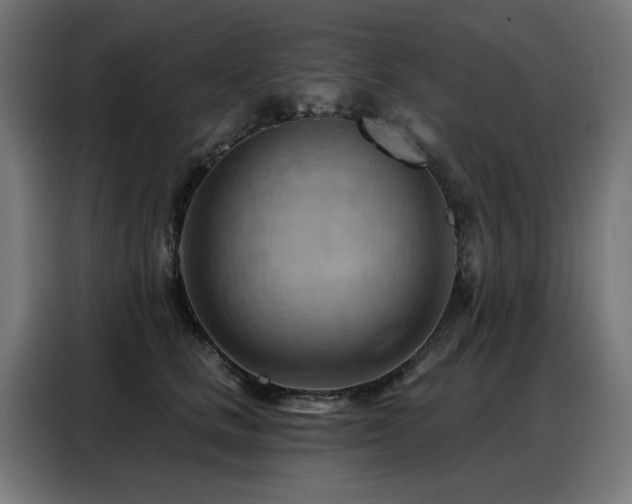 X0000088380661200705221054