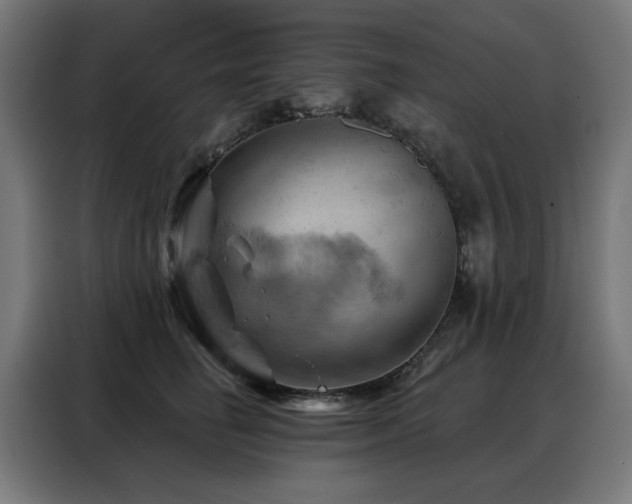 X0000088380662200705221054
