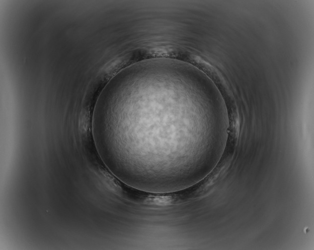 X0000088380665200705221054