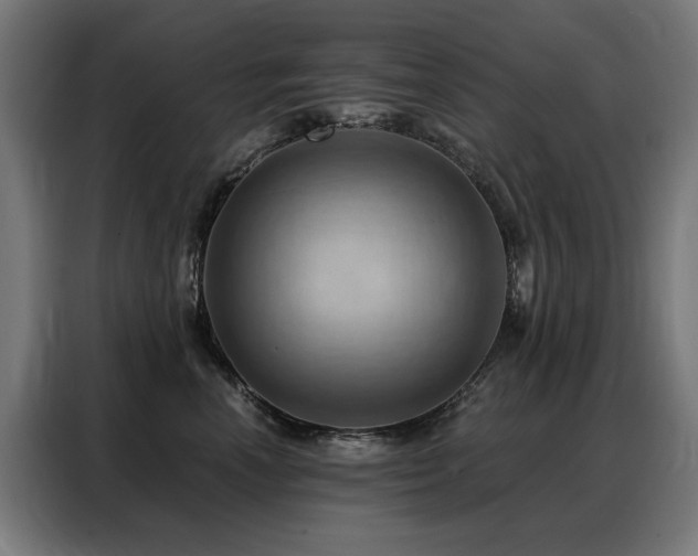 X0000088380666200705221054