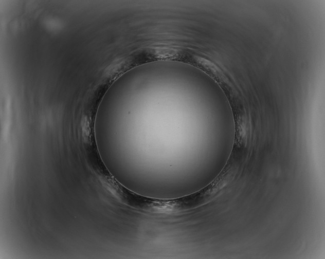 X0000088380667200705221054