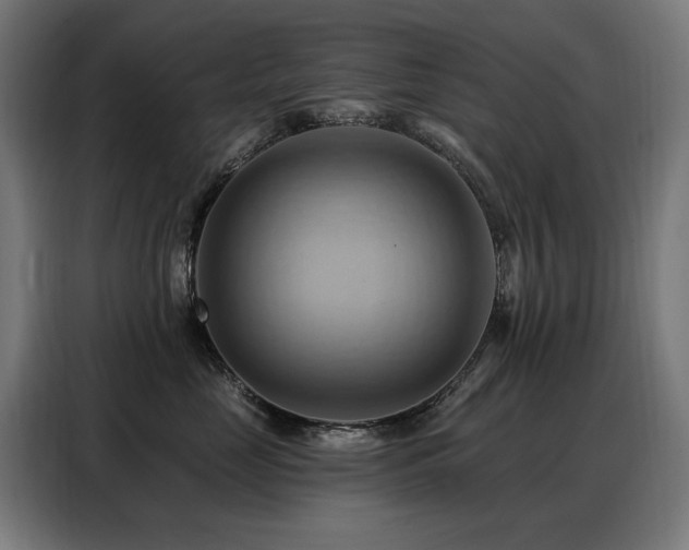 X0000088380669200705221055