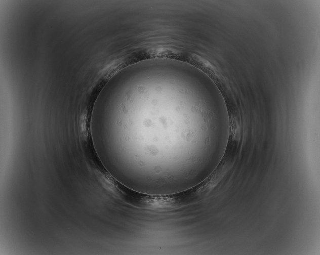 X0000088380670200705221055