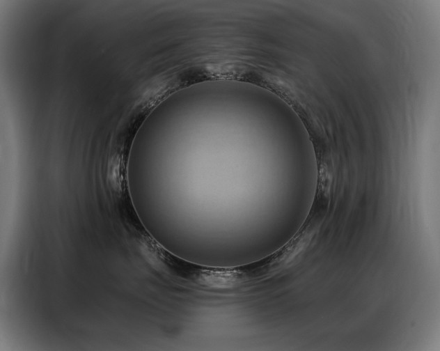 X0000088380671200705221055