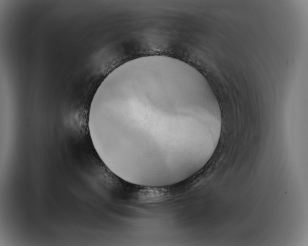 X0000088380672200705221055