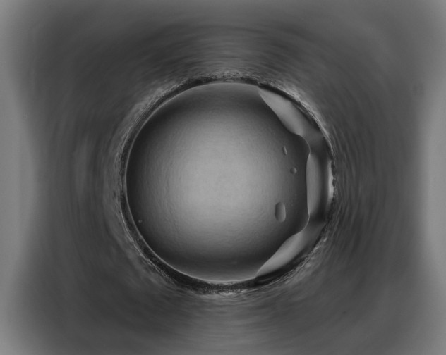 X0000088380673200705221054