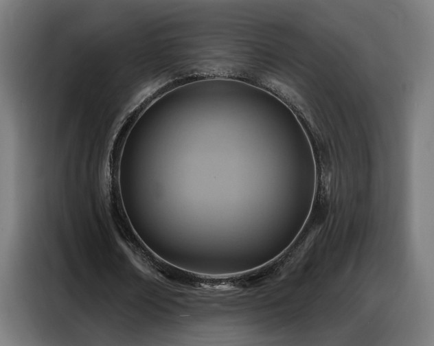 X0000088380674200705221054