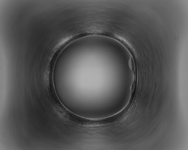 X0000088380675200705221054