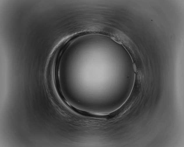 X0000088380676200705221054