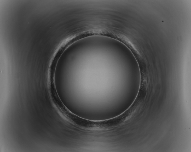 X0000088380678200705221054