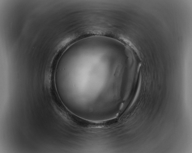X0000088380679200705221054