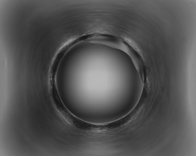 X0000088380680200705221054