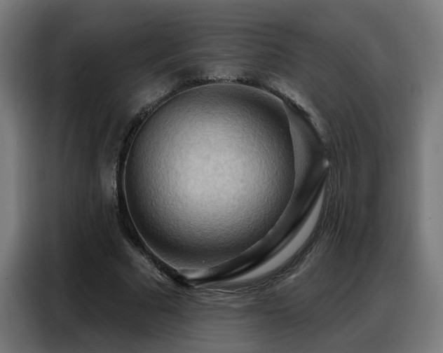 X0000088380681200705221054