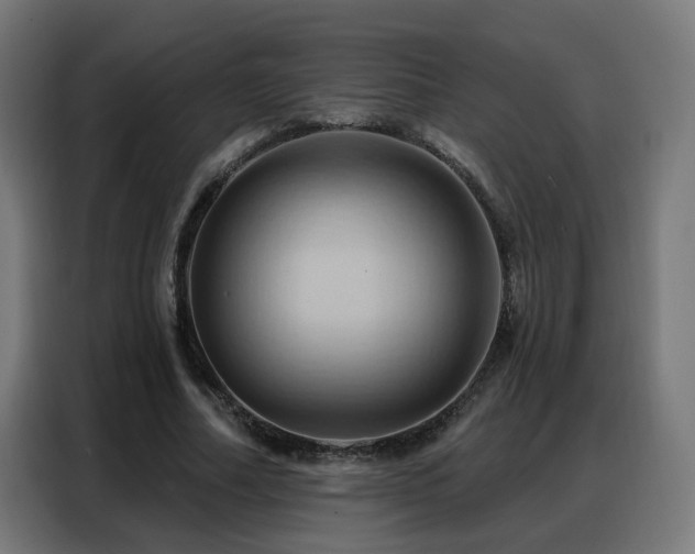 X0000088380682200705221054