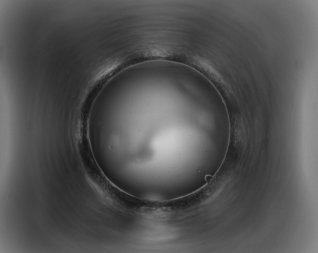 X0000088380683200705221054