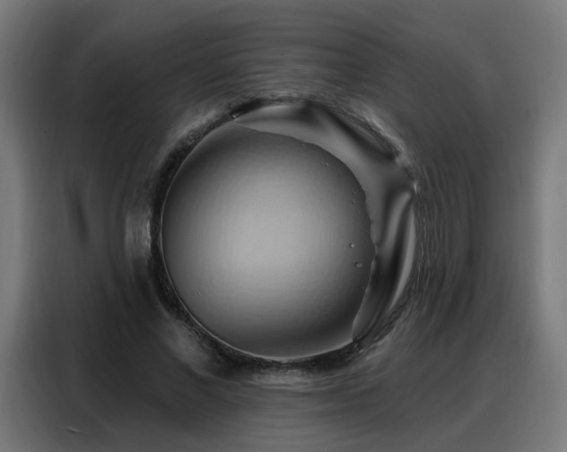 X0000088380685200705221054