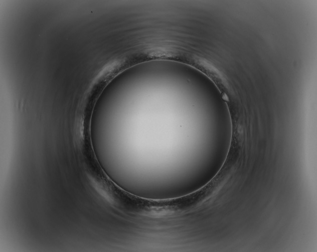 X0000088380686200705221054