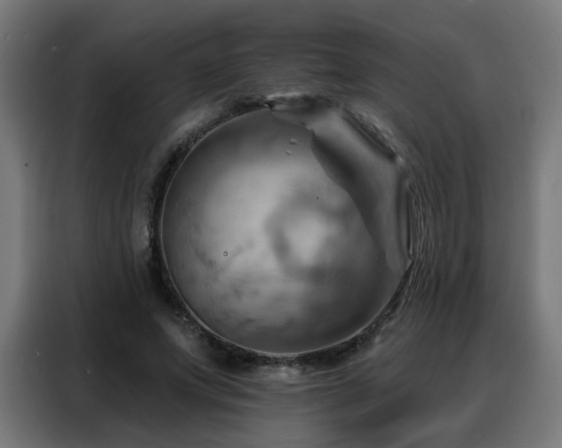 X0000088380687200705221054