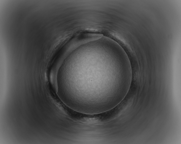X0000088380689200705221054