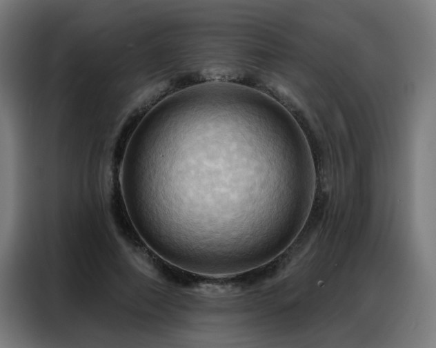 X0000088380690200705221054