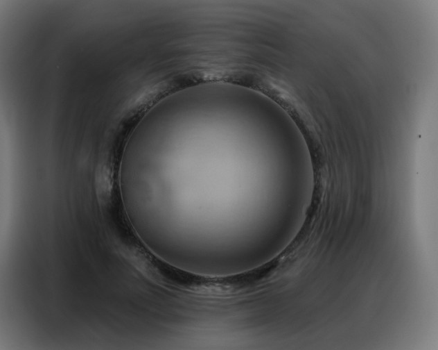 X0000088380691200705221054