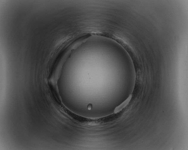 X0000088380692200705221054