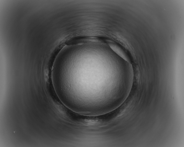X0000088380693200705221054