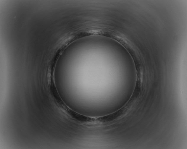 X0000088380696200705221054