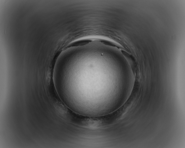 X0000088380697200705221054