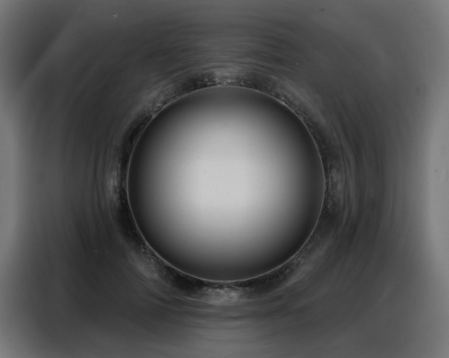 X0000088380698200705221054