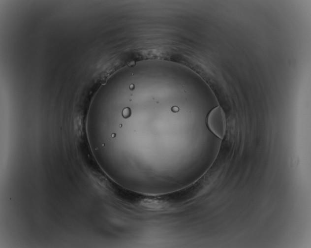 X0000088380699200705221054
