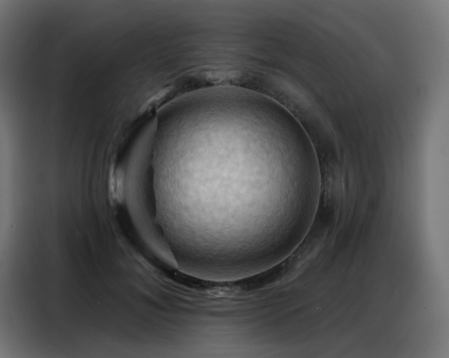 X0000088380700200705221054